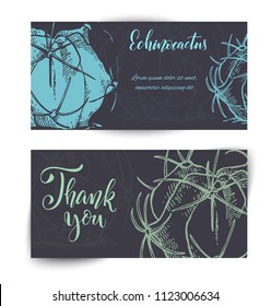 Set of horizontal banners with hand drawn cactuses, sketch style vector illustration isolated on white background. Wild floral exotic tropical plant.