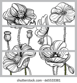 Set of ve?tor horizontal banners with hand drawn poppies on white background.