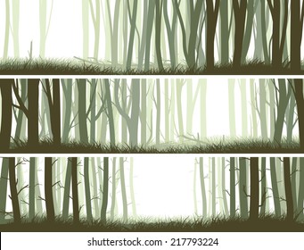 Set horizontal banners inside misty forest with trunks of trees.