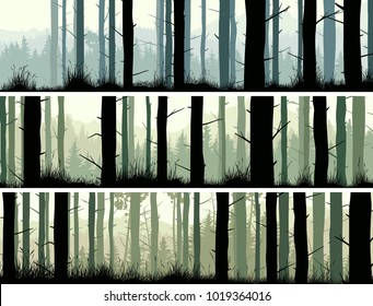 Set of horizontal banners of many pine trunks and grass in coniferous forest.