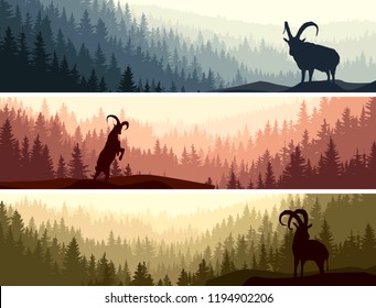 Set of horizontal banners with mountain goats on coniferous forest hills.