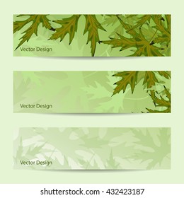 Set of horizontal banners. Nature background with green maple leaves . Vector illustration.