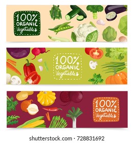 Set of horizontal banners with organic vegetables including pea, onion, radish, corn, cabbage, cucumber isolated vector illustration  