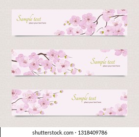 Banners horizontales con flores de cerezo rosas. Rama con flores de sakura florecientes.
