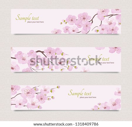 Set of horizontal banners with pink  cherry flowers. Branch with blooming sakura flowers.