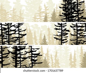Set of horizontal banners view from coniferous forest with trunks of fir trees and treetops.