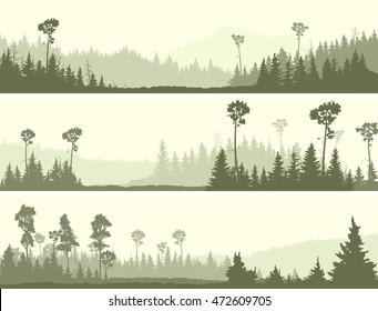 Set horizontal banners of wild coniferous forest with glade.
