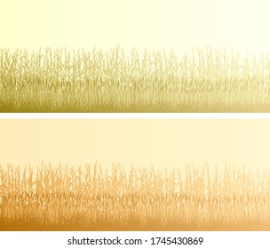 Set of horizontal bright blinding banners silhouettes of cornfield and cereal grass in front of it.