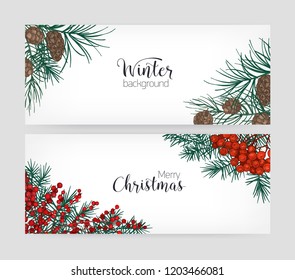 Set Of Horizontal Holiday Banners Or Backdrops With Pine Tree Branches, Cones, Holly Berries And Place For Text On White Background. Elegant Hand Drawn Vector Illustration In Vintage Realistic Style.