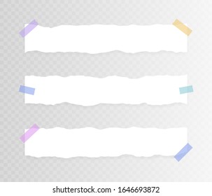 Set of horizontal torn paper on sticky tape isolated on transparent background. Vector illustration.