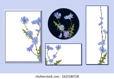 Set of horizontal, vertical and circular cards with chicory officinalis flowers.