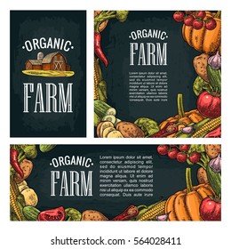 Set horizontal, vertical and square and posters with vegetables. Vintage vector colorful engraving illustration. For menu and label. Isolated on dark background