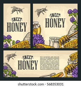 Set horizontal, vertical and square and posters with honey, jar, spoon, bee. Isolated on the beige background. Vector color hand drawn vintage engraving illustration for label, menu