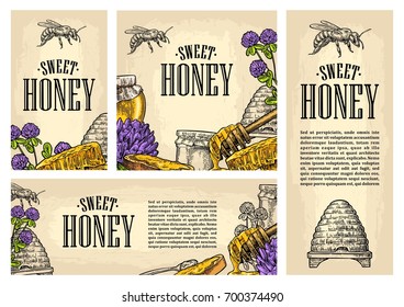 Set horizontal, vertical and square and posters with honey, honeycomb, jar, spoon, bee. Isolated on the beige background. Vector color hand drawn vintage engraving illustration for label, menu