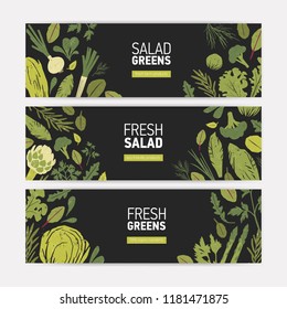Set of horizontal web banner templates with green vegetables, fresh salad leaves and spice herbs on black background. Vector illustration for vegan organic food products advertisement, promotion.