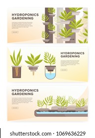 Set of horizontal web banners with plants growing in pots with mineral solution and place for text. Hydroponic gardening systems advertisement. Colored vector illustration in modern flat style.