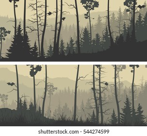 Set of horizontal wide banners coniferous forest with trunks of pine trees and hills.