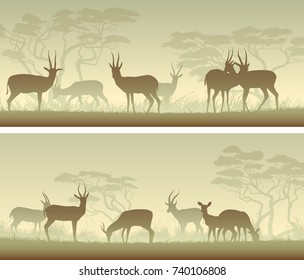 Set of horizontal wide banners of herd antelope in African savanna in green tone.