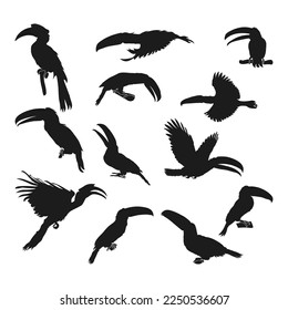 Set of hornbill bird animal silhouettes various styles