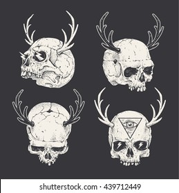 Set of horned skulls. Hand drawn skulls. Vector art.