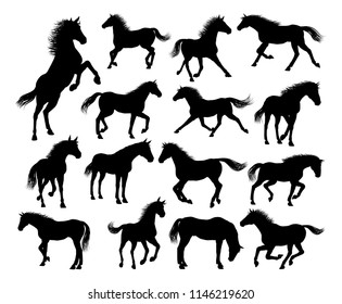 A set of horse animal detailed silhouette graphics