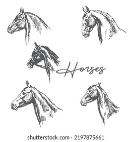 Set of horse animal detailed silhouette graphics