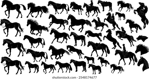 Conjunto de elemento de Vector de silueta de caballo negro.