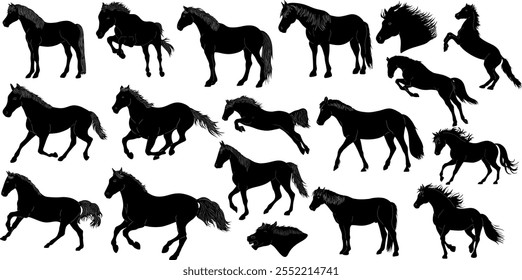 Conjunto de elemento de Vector de silueta de caballo negro.