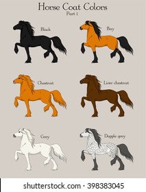 Set of horse coat colors with text. Part one.