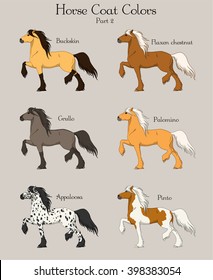 Set of horse coat colors with text. Part two.