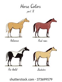 Set Horse Color Chart On White Stock Vector (Royalty Free) 373699579 ...