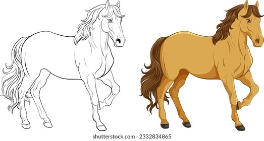 Set of horse and its doodle outline illustration