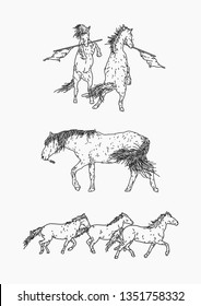 Set of Horse Illustrations (Outline) 