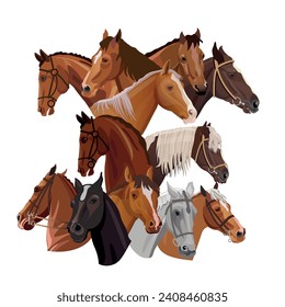 Set of horse portraits. Collection of equestrian heads. Vector illustration isolated on a white background in a realistic style