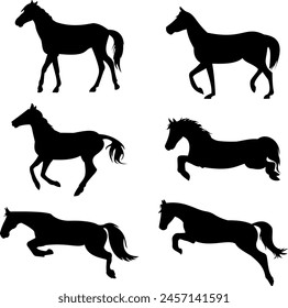 conjunto de Ilustración vectorial de la silueta de la pose del caballo