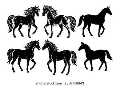 set of horse silhouelle vector illustration