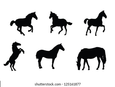 The set of Horse silhouette