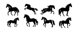 Set Of Horse Silhouette Animal Set Isolated On White Background. Black Horses Graphic Element Vector Illustration