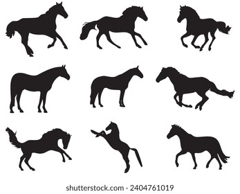 Set of horse silhouette animal set isolated on white background. Black horses graphic