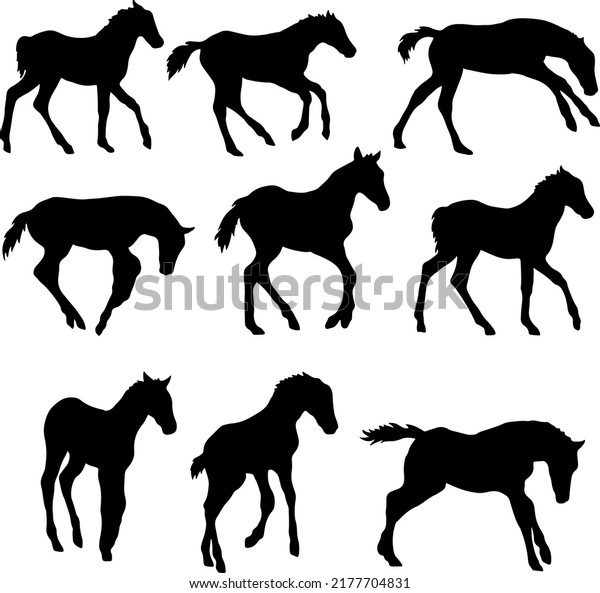 Set Horse Silhouette Line Art Stylehorse Stock Vector (Royalty Free ...