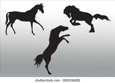 set of horse silhouette line  isolated or logo isolated sign symbol vector, outline and stroke style Collection of high-quality black style vector illustration