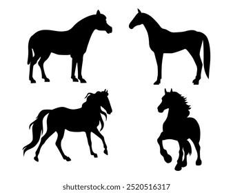 Set of horse silhouette  on white background