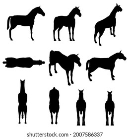 Set with horse silhouettes in different positions isolated on white background. Vector illustration