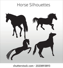 set of horse silhouettes icon,  line isolated or logo isolated sign symbol vector, outline and stroke style Collection of high-quality color style vector illustration,
