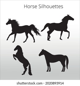 set of horse silhouettes icon,  line isolated or logo isolated sign symbol vector, outline and stroke style Collection of high-quality color style vector illustration,