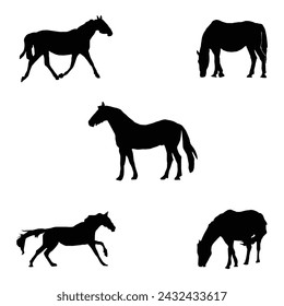 Set of Horse Silhouettes- Vector