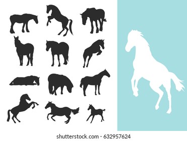 Set of horse silhouettes - Vector
