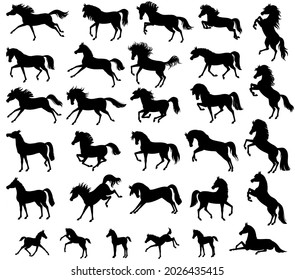 Set with horse silhouettes. Vector illustration. Horses for logos. Vector isolated illustration.