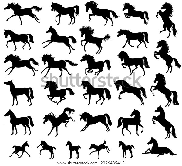 Set Horse Silhouettes Vector Illustration Horses Stock Vector (Royalty ...