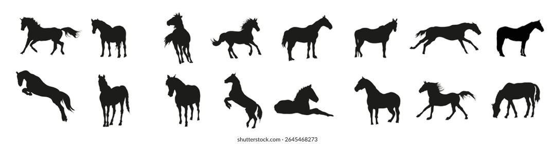 Set of horse vector illustration